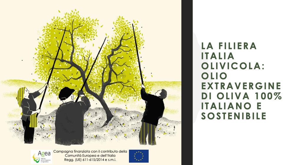 La Filiera Italia Olivicola: Olio Extravergine di Oliva 100% italiano e sostenibile 
