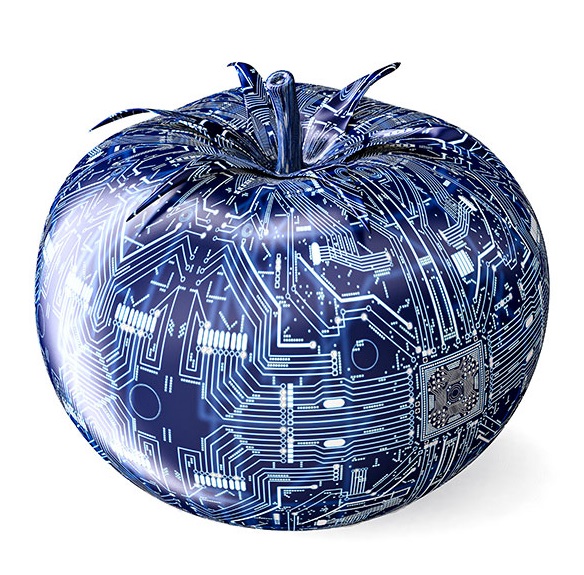 Blockchain Plaza